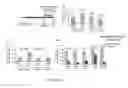 Fig. 29 - Functional assay for cancer recurrence and malignant potential