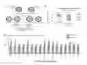 Fig. 41 - Functional assay for cancer recurrence and malignant potential