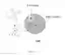 Fig. 02 - Pro-substrates for live cell applications