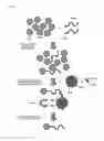 Fig. 04 - Immunoanalysis method and immunoanalysis device