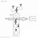 Fig. 07 - Immunoanalysis method and immunoanalysis device