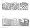 Fig. 16 - Compositions and methods for detecting and treating colorectal cancer