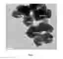 Fig. 08 - Magnetic nanocompositions for highly sensitive molecular and cellular enrichment, purification and detection