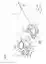 Fig. 06 - Imaging apparatus
