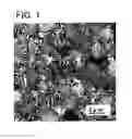Fig. 02 - Polymer/liquid crystal composite and liquid crystal display device including the same