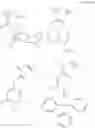 Fig. 131 - Positive resist composition and patterning process