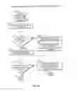 Fig. 13 - Directed order