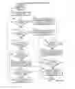 Fig. 17 - Directed order