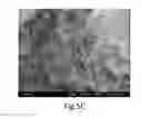 Fig. 08 - METHOD OF MAKING A EUROPIUM ION DOPED WORKING ELECTRODE