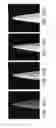 Fig. 31 - Ion sources, systems and methods