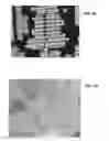 Fig. 47 - Ion sources, systems and methods