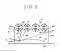Fig. 03 - OPTICAL DEVICE AND MANUFACTURING METHOD THEREFOR