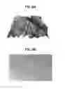 Fig. 20 - Ultraviolet light emitting device