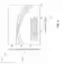 Fig. 18 - Organic electroluminescent device with multiple phosphorescent emitters
