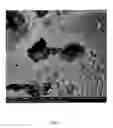 Fig. 02 - FUEL CELL MATRIX COMPOSITION AND METHOD OF MANUFACTURING SAME