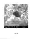 Fig. 09 - FUEL CELL MATRIX COMPOSITION AND METHOD OF MANUFACTURING SAME
