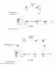 Fig. 06 - Method for implementing fast re-routing (FRR)