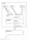 Fig. 02 - Service specific traffic handling
