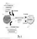 Fig. 06 - Home hub for IP multimedia subsystem (IMS) web services interaction