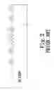 Fig. 03 - LIGHT STRING