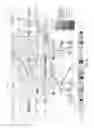 Fig. 07 - Genetic test and genetic basis for SCID in pigs