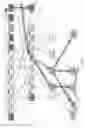 Fig. 09 - Genetic test and genetic basis for SCID in pigs