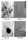 Fig. 02 - Compositions including a vacancy-engineered(VE)-ZnO nanocomposite, methods of making a composition , method of using a composition