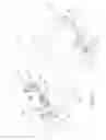 Fig. 09 - Bi-axially collapsible frame for a bassinet