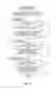 Fig. 12 - Blood sugar level measuring device and blood sugar level measuring method