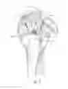 Fig. 09 - SUTURE ANCHOR