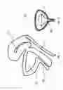 Fig. 02 - Devices and methods for treating conditions caused by affarent nerve signals
