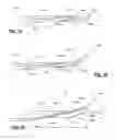Fig. 07 - TRANSPEDICULAR ACCESS TO THE INTERVERTEBRAL DISC SPACE FOR DISCECTOMY, END PLATE PREPARATION, AND INTERBODY FUSION