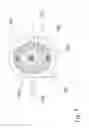 Fig. 06 - MULTIFUNCTIONAL ORTODONTIC BRACKET COVER
