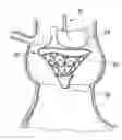 Fig. 01 - Rapid deployment methods for prosthetic heart valves