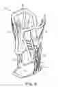 Fig. 07 - ANKLE BRACE