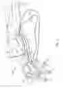 Fig. 07 - Treatment systems, methods, and apparatuses for improving the appearance of skin and providing other treatments