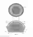Fig. 08 - Confocal detection to minimize capsulotomy overcut while dynamically running on the capsular surface