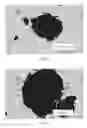 Fig. 02 - Method for preparing hair care compositions comprising a step of adding perfumes and/or silicones before antidandruff agents