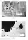 Fig. 02 - Method for preparing antidandruff hair care compositions comprising a step of injecting antidandruff agents, perfumes and/or silicones