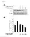 Fig. 08 - Method for Preparing 3,6-Anhydro-L-Galactose, And Use Thereof