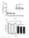 Fig. 02 - Polypeptide hydrogels and uses related thereto
