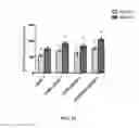 Fig. 08 - Strains and methods for energy partitioning in ruminants