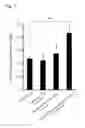 Fig. 02 - AGENT FOR PREVENTING OR AMELIORATING VASCULAR ENDOTHELIAL MALFUNCTION