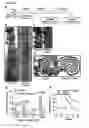 Fig. 02 - Prophylactic and nutraceutical therapy