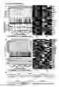 Fig. 06 - Prophylactic and nutraceutical therapy