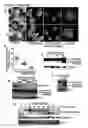 Fig. 08 - Prophylactic and nutraceutical therapy