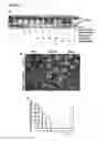 Fig. 09 - Prophylactic and nutraceutical therapy