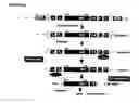 Fig. 04 - Reverse genetics of negative-strand RNA viruses in yeast