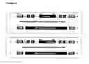Fig. 10 - Reverse genetics of negative-strand RNA viruses in yeast