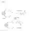 Fig. 28 - MULTIFUNCTIONAL SMALL MOLECULES